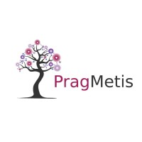 PragMetis