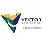 Vector Consulting, Inc