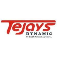 TEJAYS DYNAMIC LIMITED