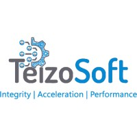 TeizoSoft Private Limited