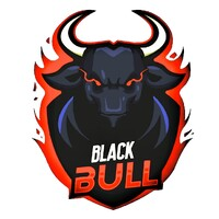 Black Bull Consultants