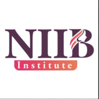 NIIB Institute