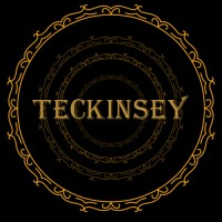 Teckinsey Consulting Pvt Ltd