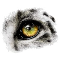 Ice Leopard Imaging