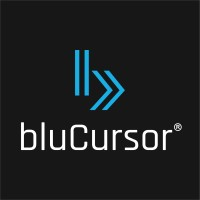 bluCursor Infotech Pvt Ltd