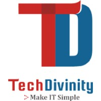 TechDivinity