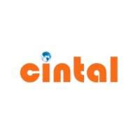Cintal Technologies Pvt Ltd