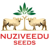 NUZIVEEDU SEEDS LIMITED