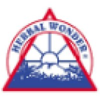 American Image International