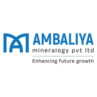 Ambaliya Mineralogy Pvt Ltd