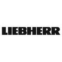 Liebherr CMCtec India Private Limited